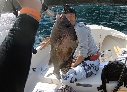 コショウダイの釣果