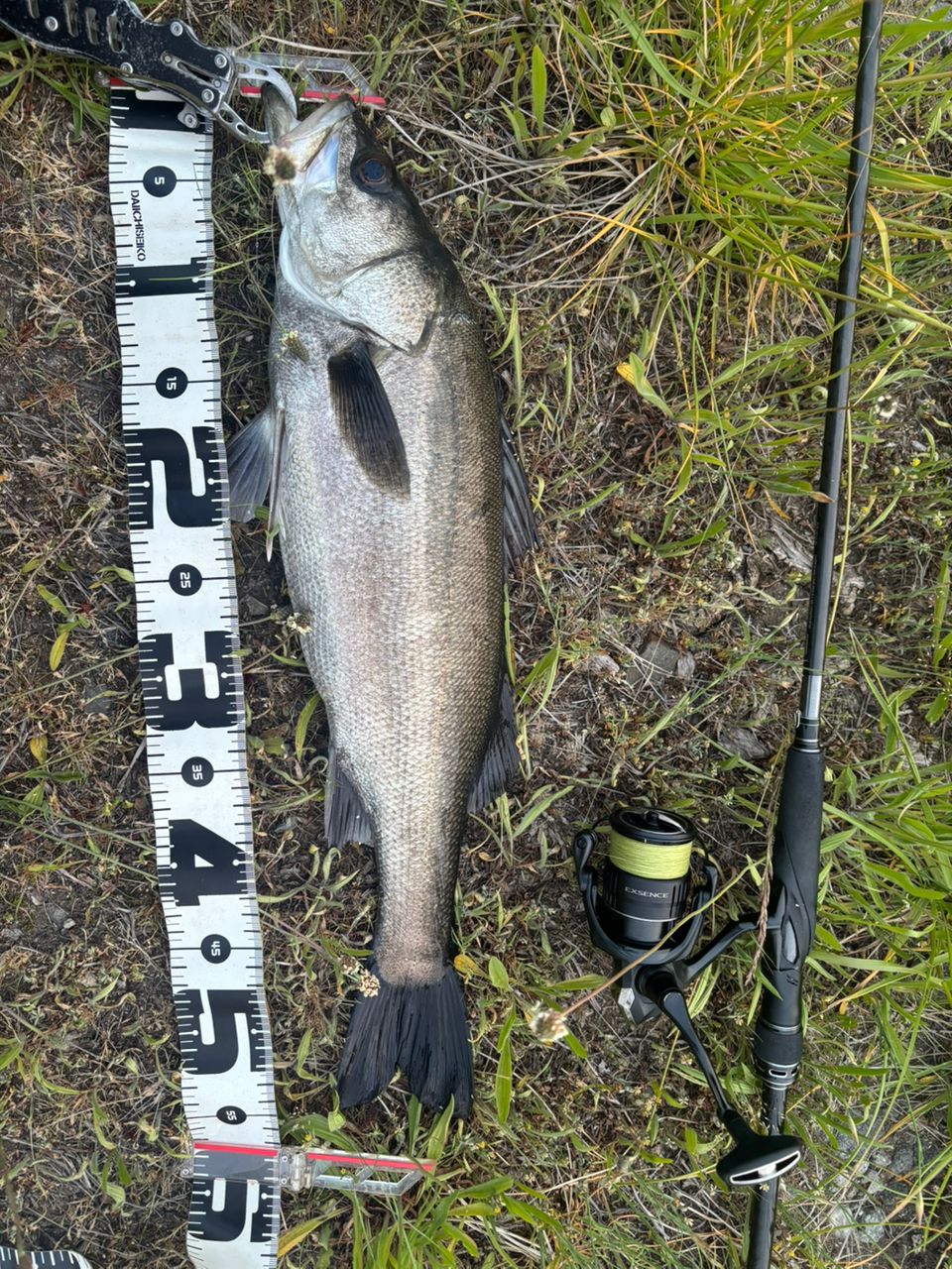 SHIMANO 18エクスセンスジェノス S910M/Rの最安値・インプレ・釣果