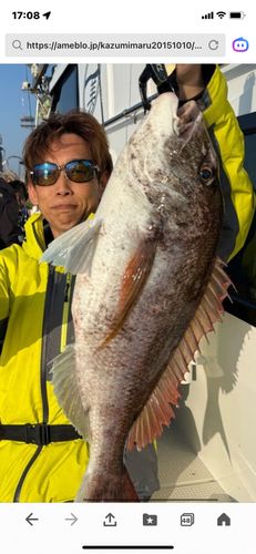 タイの釣果