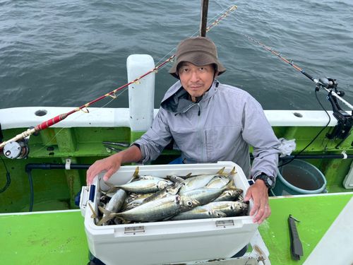マアジの釣果