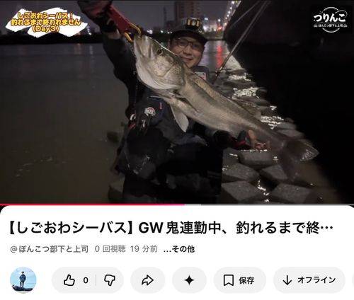 シーバスの釣果