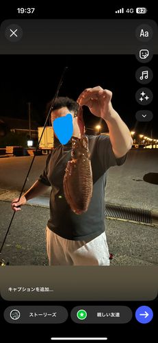 イカの釣果