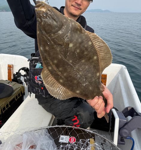 イシガレイの釣果