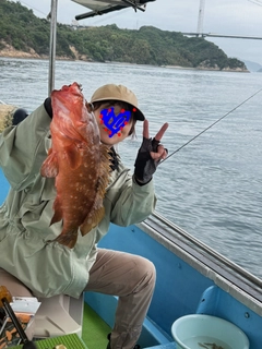 キジハタの釣果