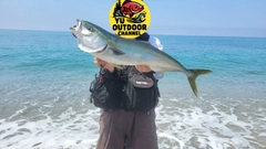 ワラサの釣果
