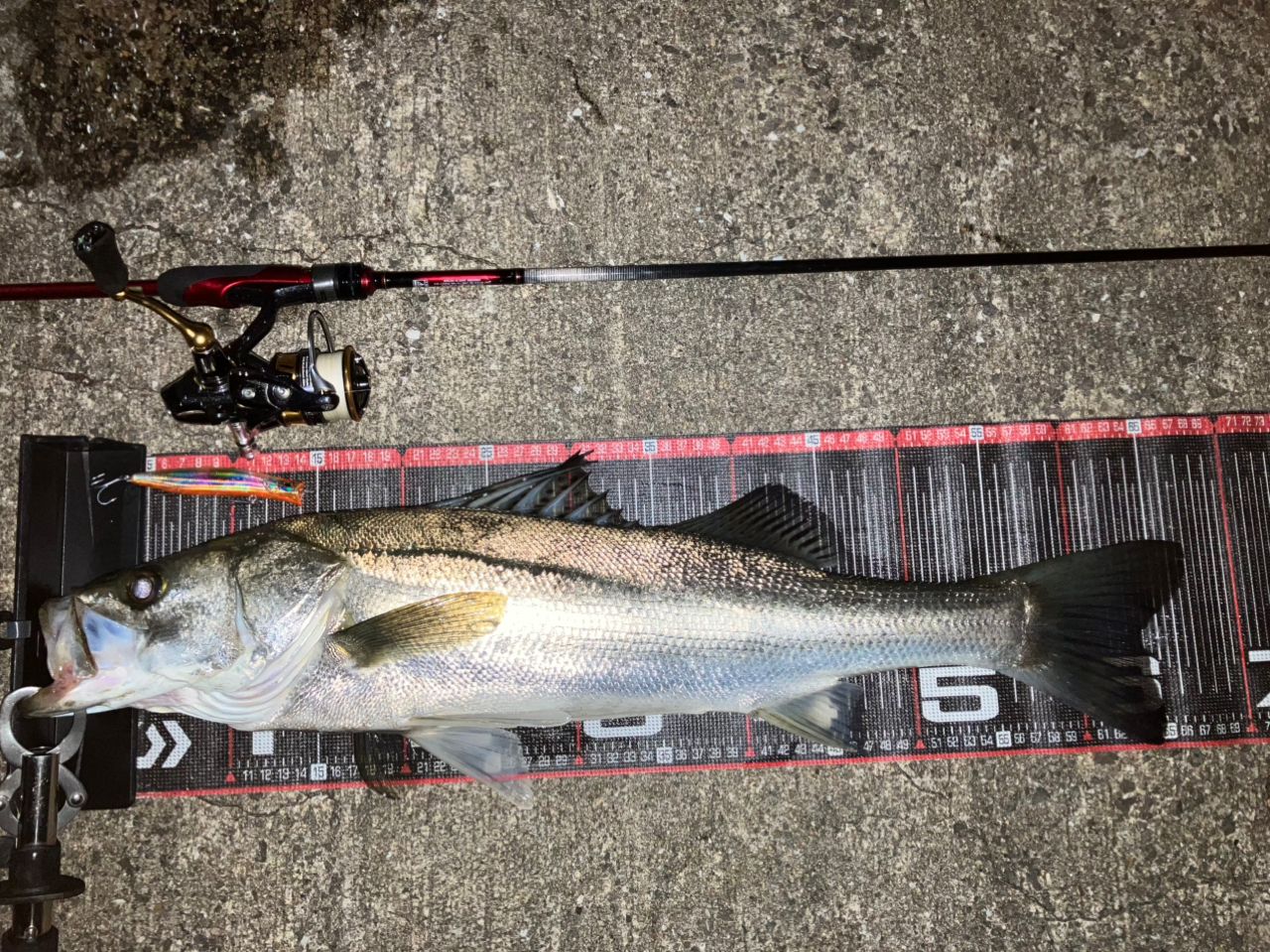 20月下美人610L-S DAIWA（ダイワ） 20 月下美人 メバル 610L-S・N 【大型商品140