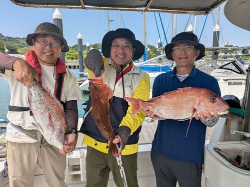 タイの釣果