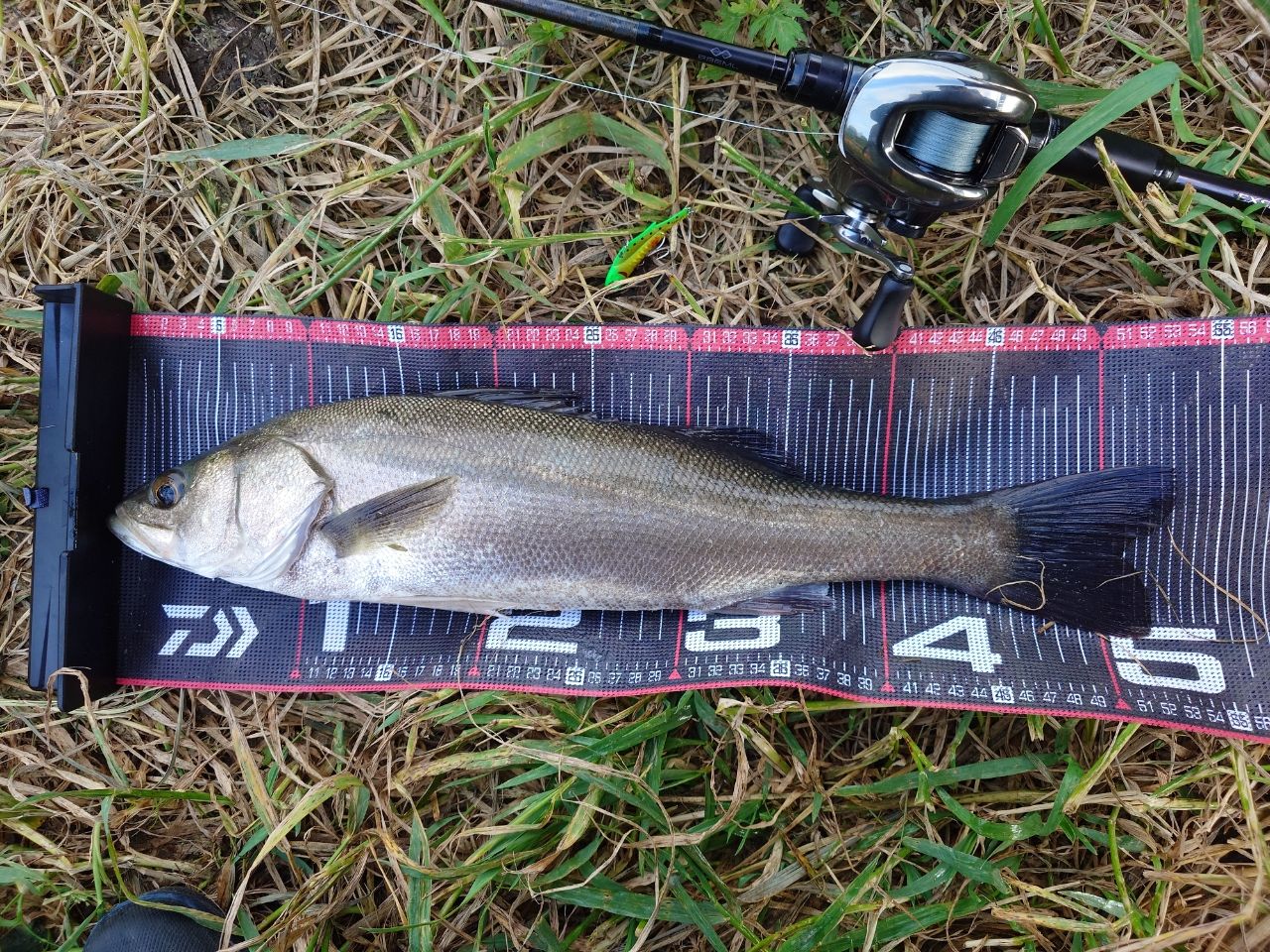 SHIMANO 22エクスセンス ∞ (インフィニティ) B86MLの最安値・インプレ