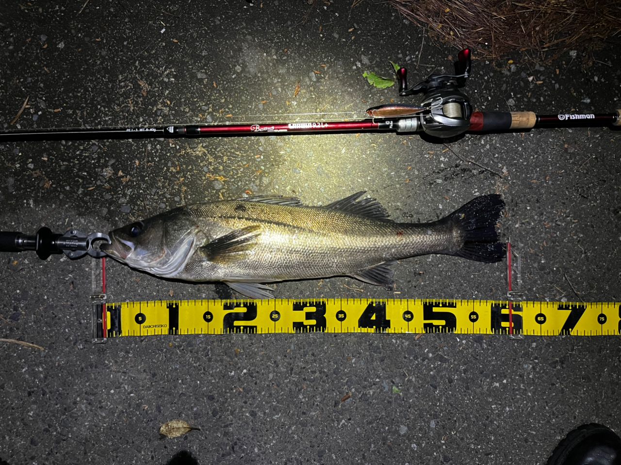 Fishman ビームス CRAWLA 9.2L＋の最安値・インプレ・釣果 | 本音の