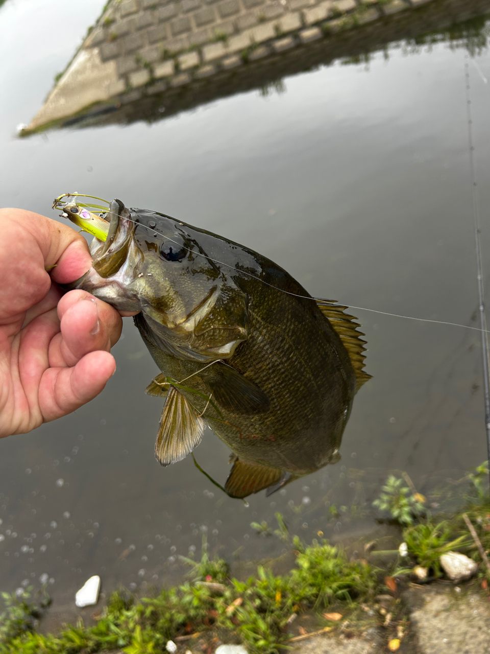 DAIWA 23ハートランド 702UL+FS-ST23の最安値・インプレ・釣果 | 本音