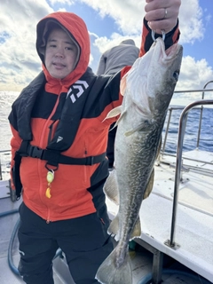 マダラの釣果
