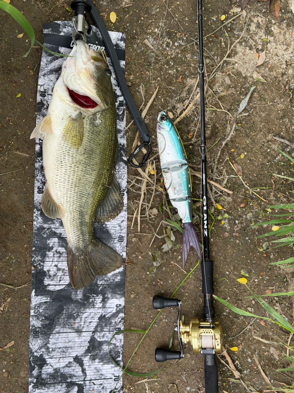 SHIMANO 23カルカッタコンクエスト MD 301XGLHの最安値・インプレ