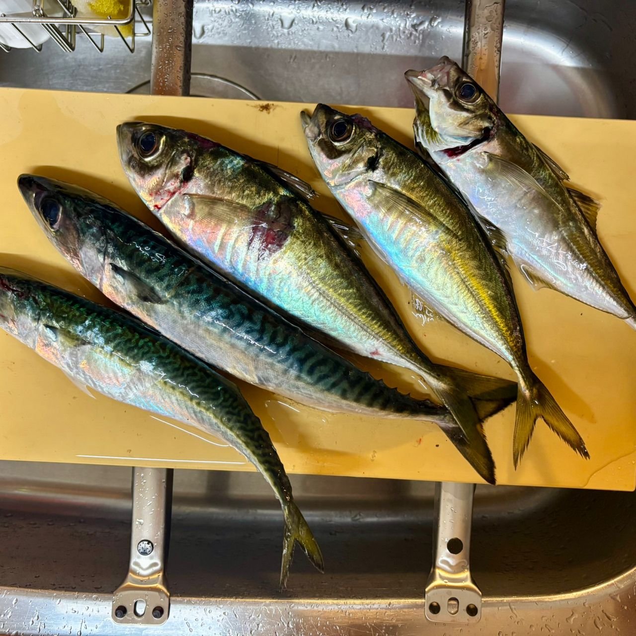 SHIMANO 22ソアレ SS アジング S54SUL-Sの最安値・インプレ・釣果