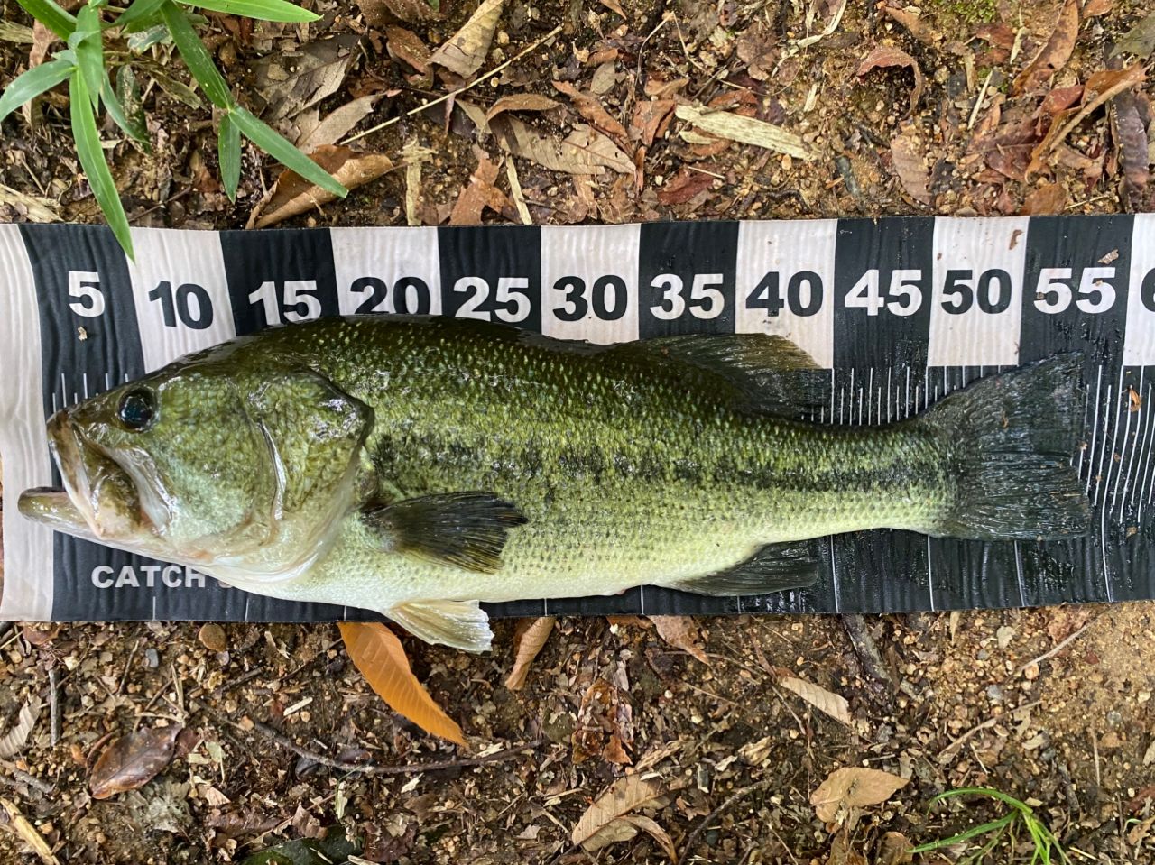 SHIMANO 17エクスプライド 1610MH-SB/2の最安値・インプレ・釣果