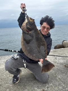 ヒラメの釣果