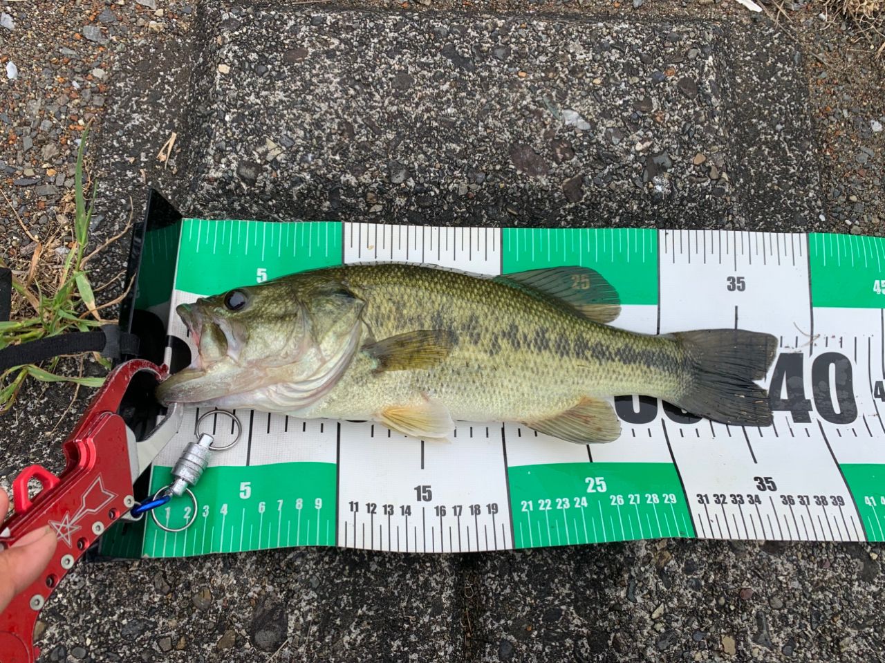DAIWA 18ハートランド 671LFS-18の最安値・インプレ・釣果 | 本音の