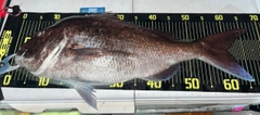 タイの釣果