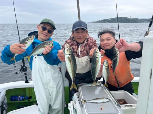 マアジの釣果