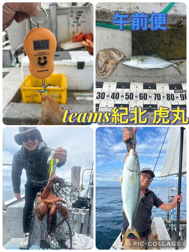 ハマチの釣果