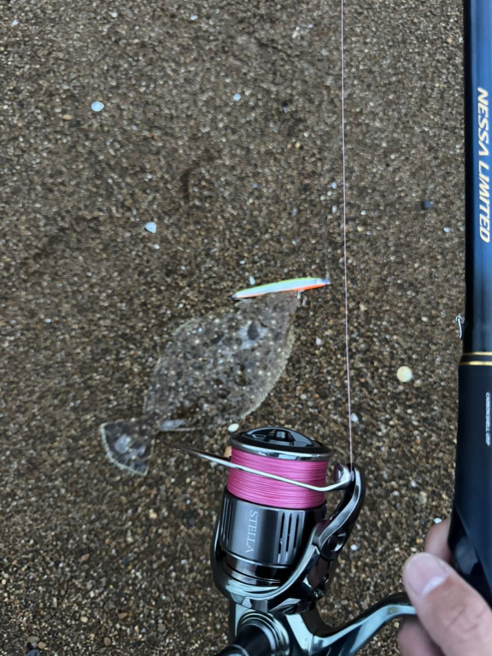 SHIMANO ネッサ リミテッド 2023年モデルの最安値・インプレ・釣果