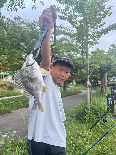 ウナギの釣果
