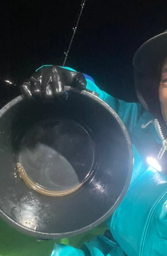 アナゴの釣果