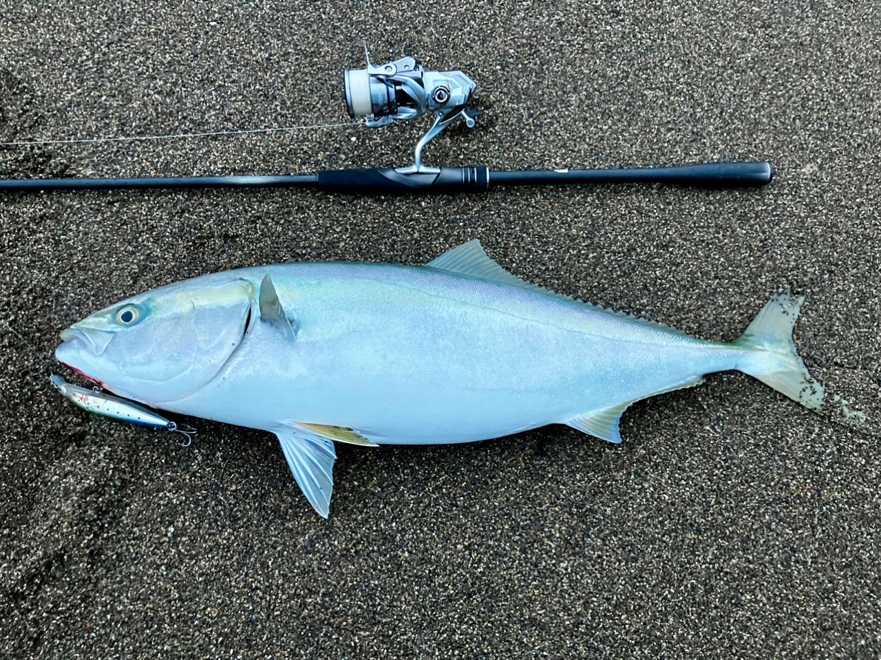 SHIMANO 23ディアルーナ S100Mの最安値・インプレ・釣果 | 本音の