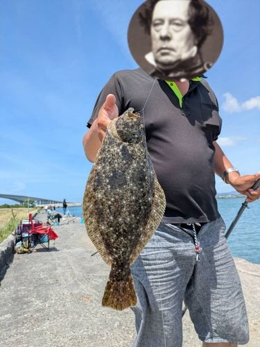 ヒラメの釣果