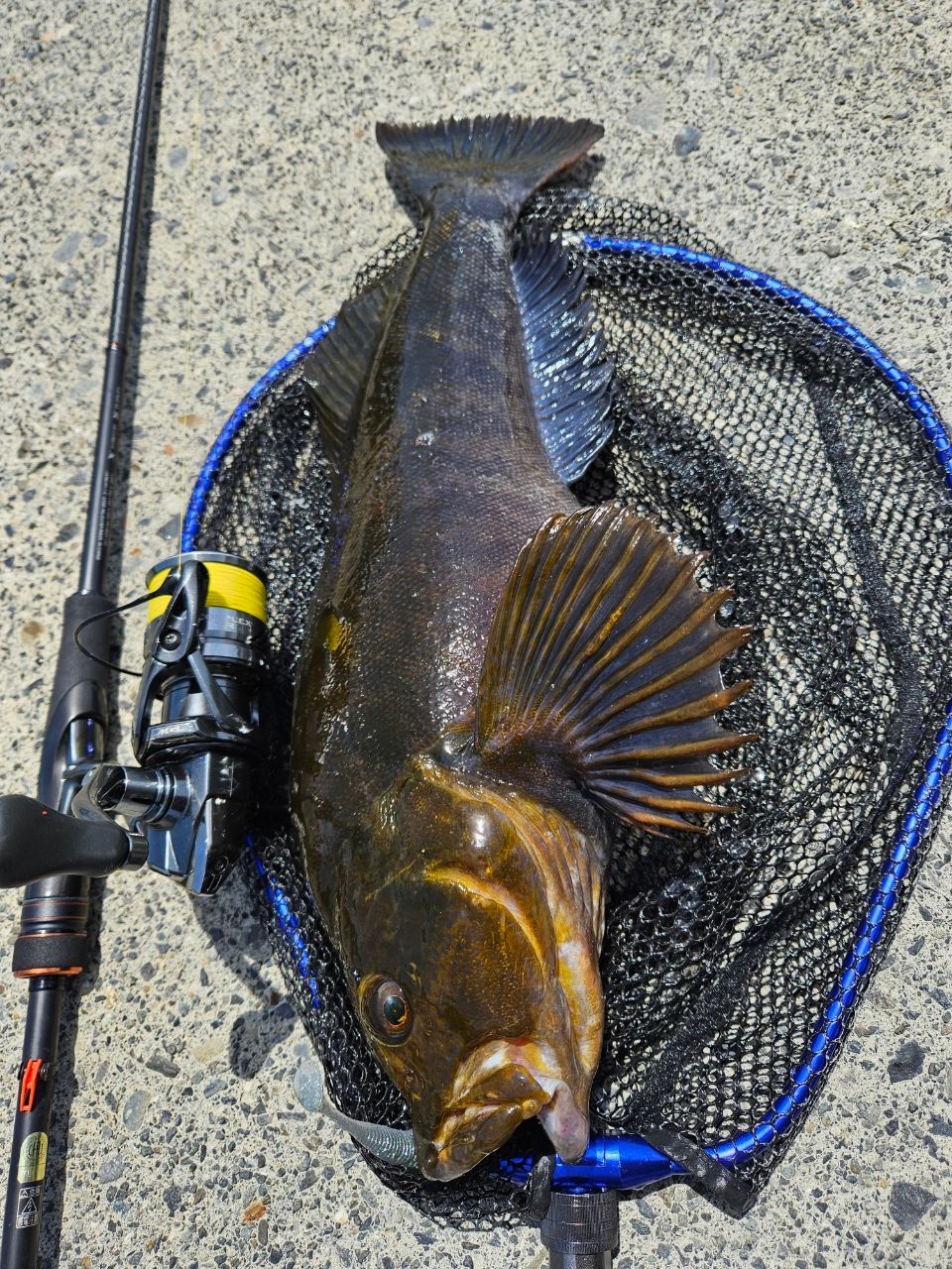 SHIMANO 22ハードロッカー SS S76ML+の最安値・インプレ・釣果 | 本音