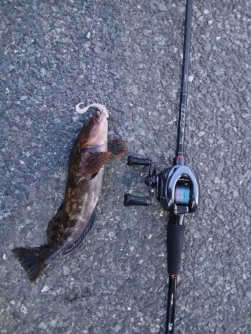 DAIWA 16HRF® (ハードロックフィッシュ) KJ 711HBの最安値・インプレ