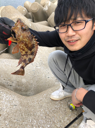 アラカブの釣果