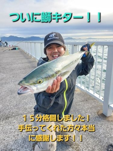 ブリの釣果