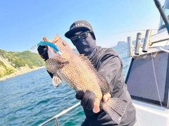 オオモンハタの釣果