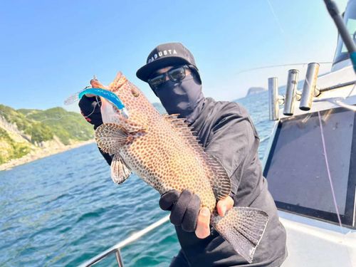 オオモンハタの釣果