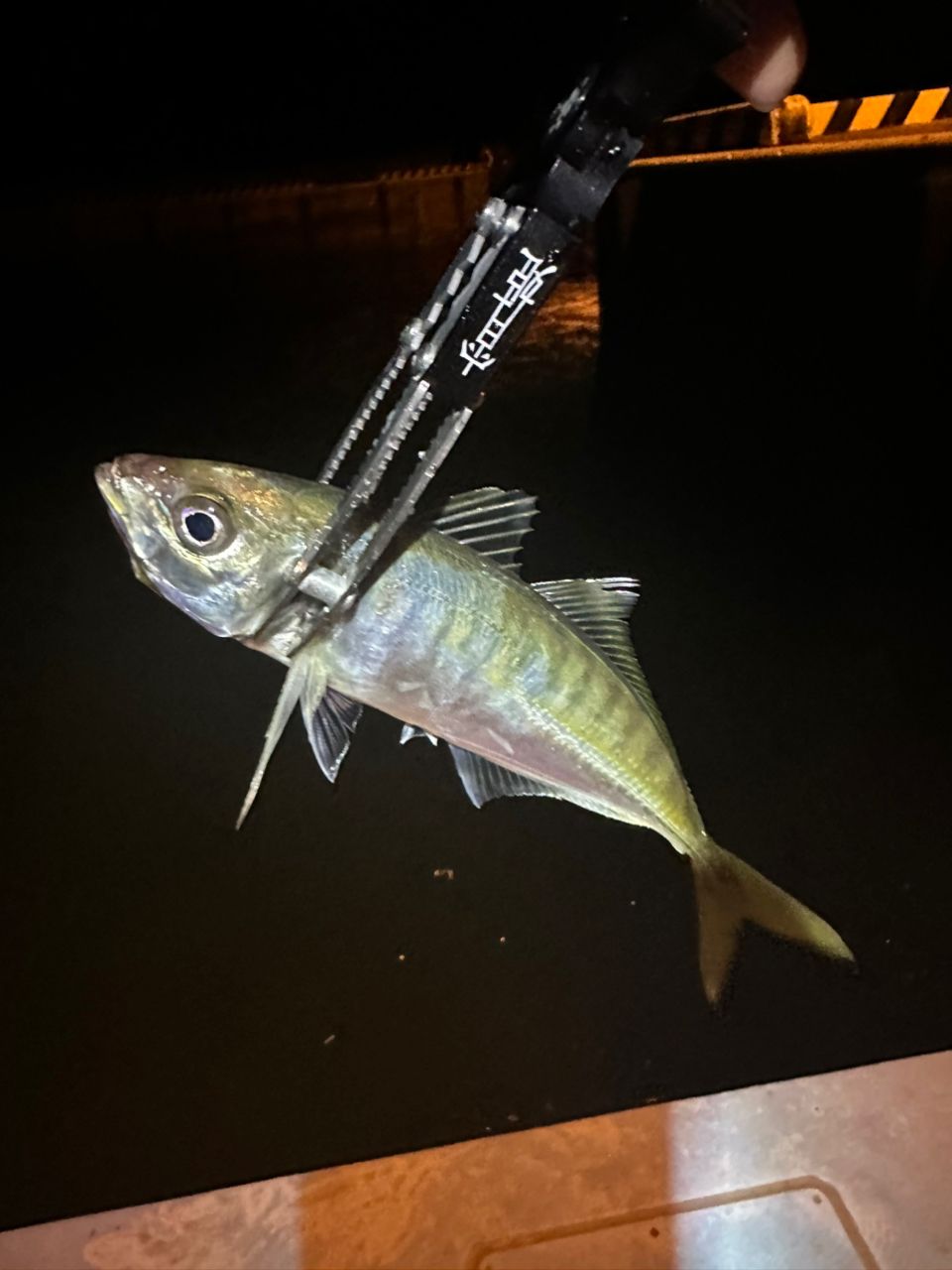 SHIMANO 19ヴァンキッシュ C2000SSSの最安値・インプレ・釣果 | 本音の