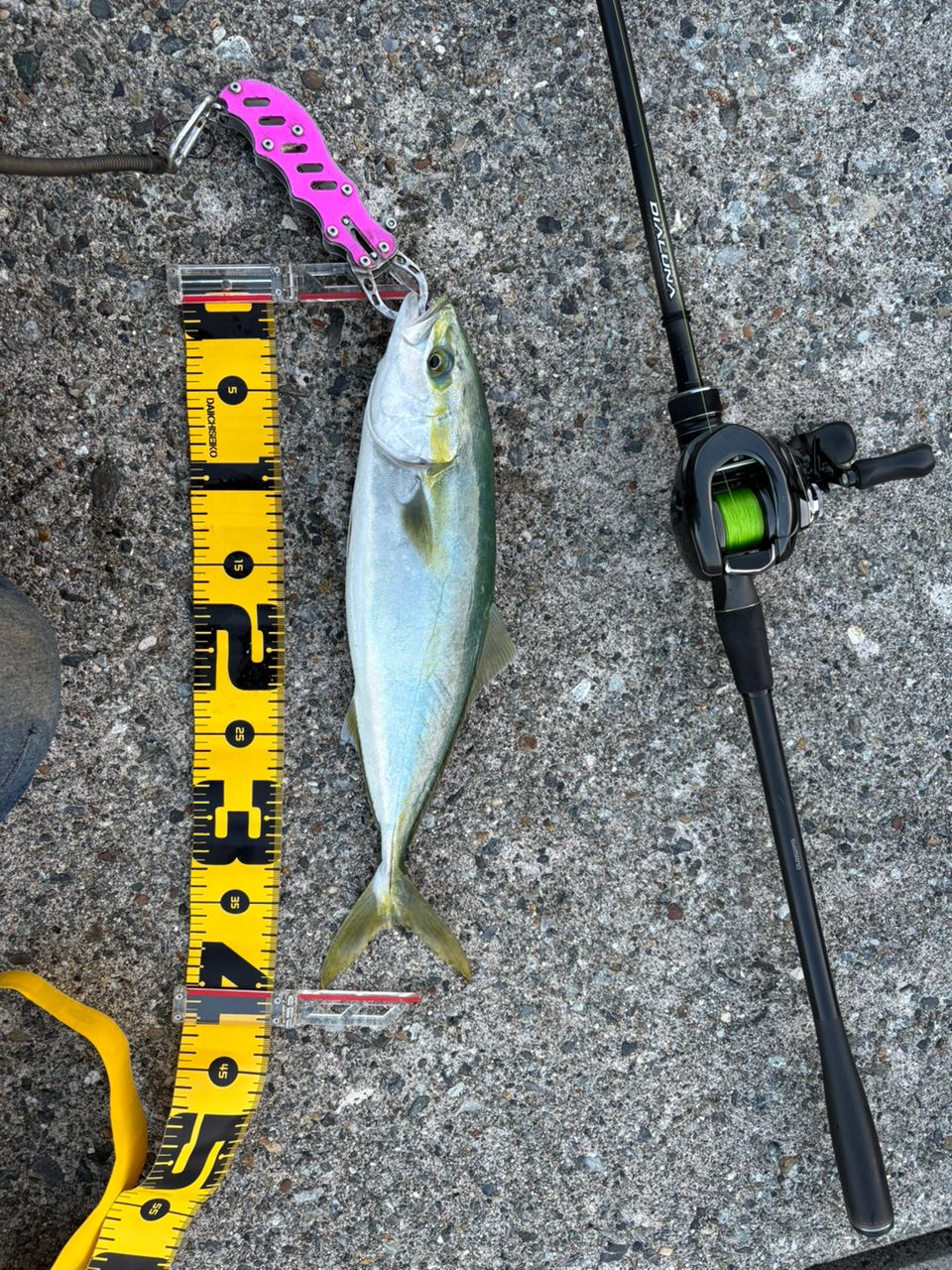 SHIMANO 23ディアルーナ B106Mの最安値・インプレ・釣果 | 本音の