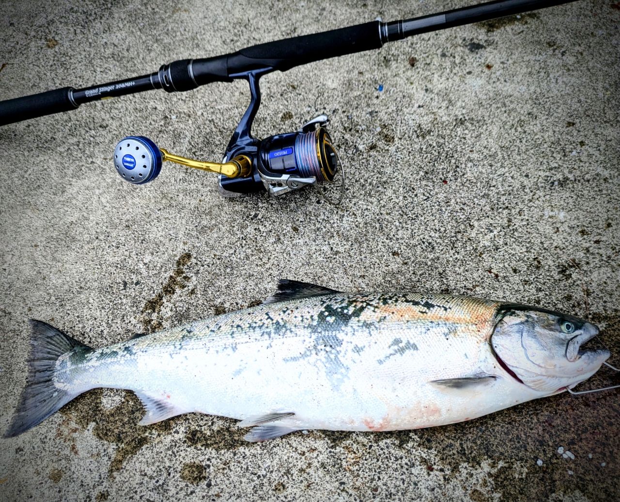 SHIMANO エクスセンスジェノス (磯マル・ヒラスズキモデル) 2019年