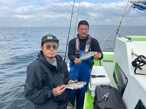 マアジの釣果