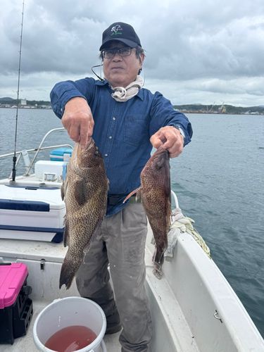 オオモンハタの釣果
