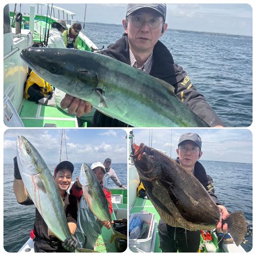 ブリの釣果