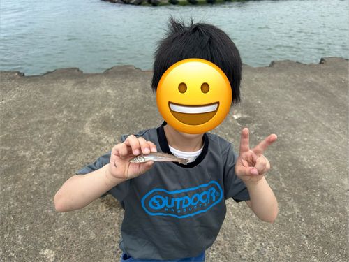 キスの釣果