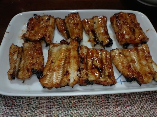ウナギの釣果