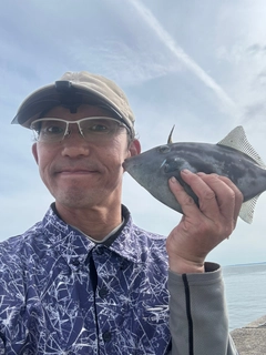 カワハギの釣果