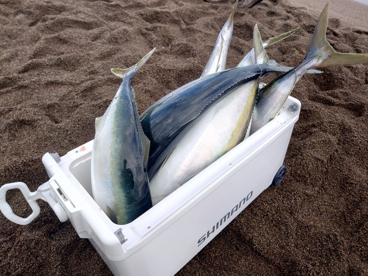 Angler's Republic ショアガン エボルブ SFSGS-103XH・BLの最安値