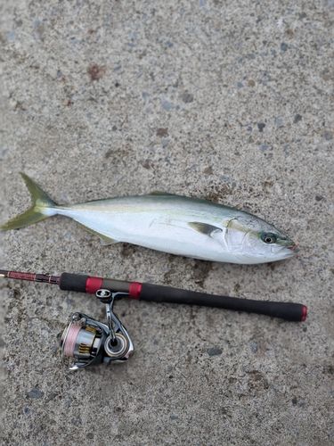 釣果