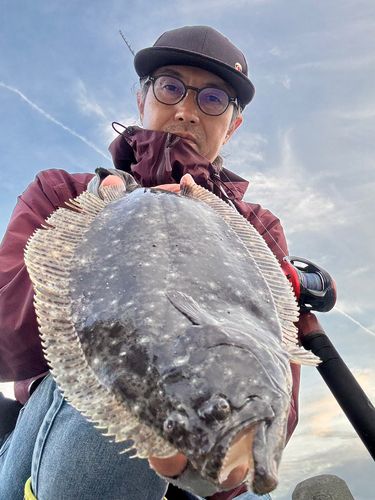 ヒラメの釣果