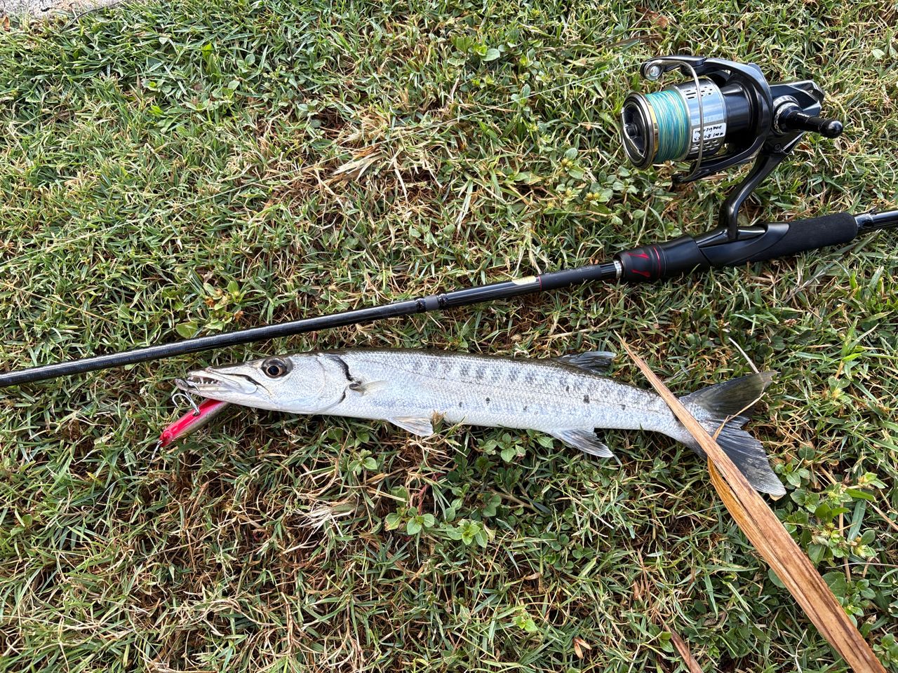 SHIMANO 20ヴァンフォード C3000HGの最安値・インプレ・釣果 | 本音の