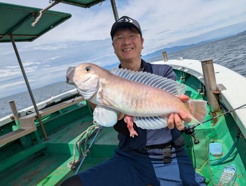 シロアマダイの釣果