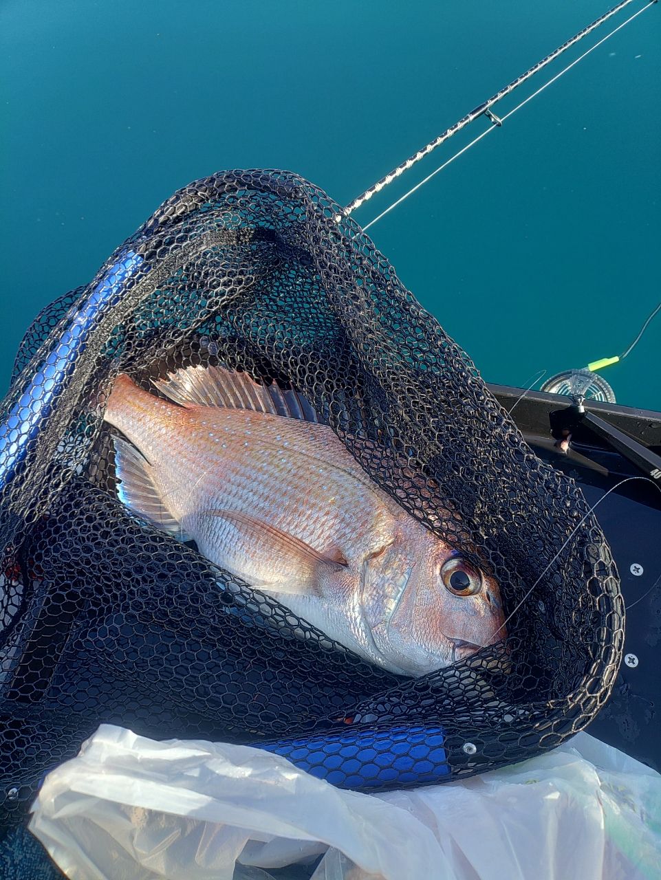 SHIMANO 19グラップラー タイプJ ベイト B60-2の最安値・インプレ