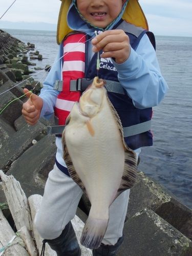 クロガシラガレイの釣果